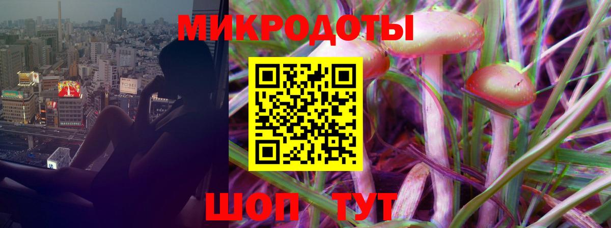Псилоцибиновые грибы MAGIC MUSHROOMS Вичуга