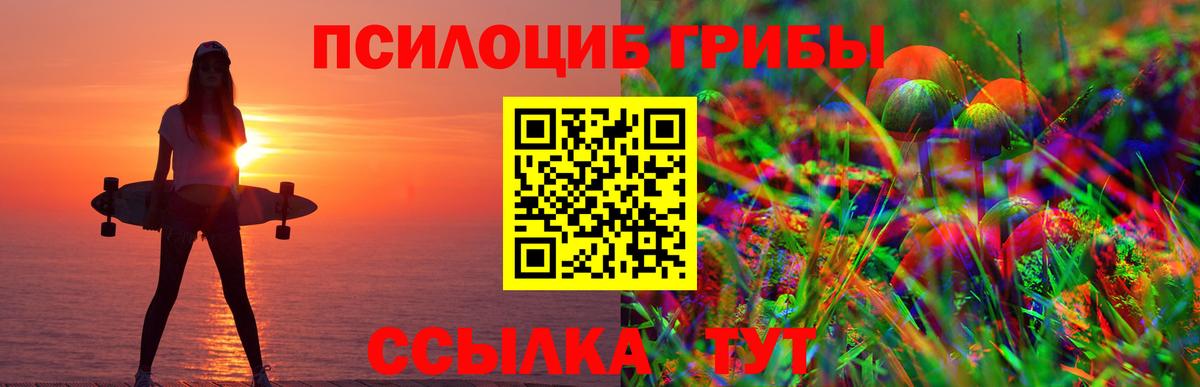 Псилоцибиновые грибы ЛСД  Галлюциногенные грибы прущие грибы  Вичуга  купить наркотик  Вход с VPN 